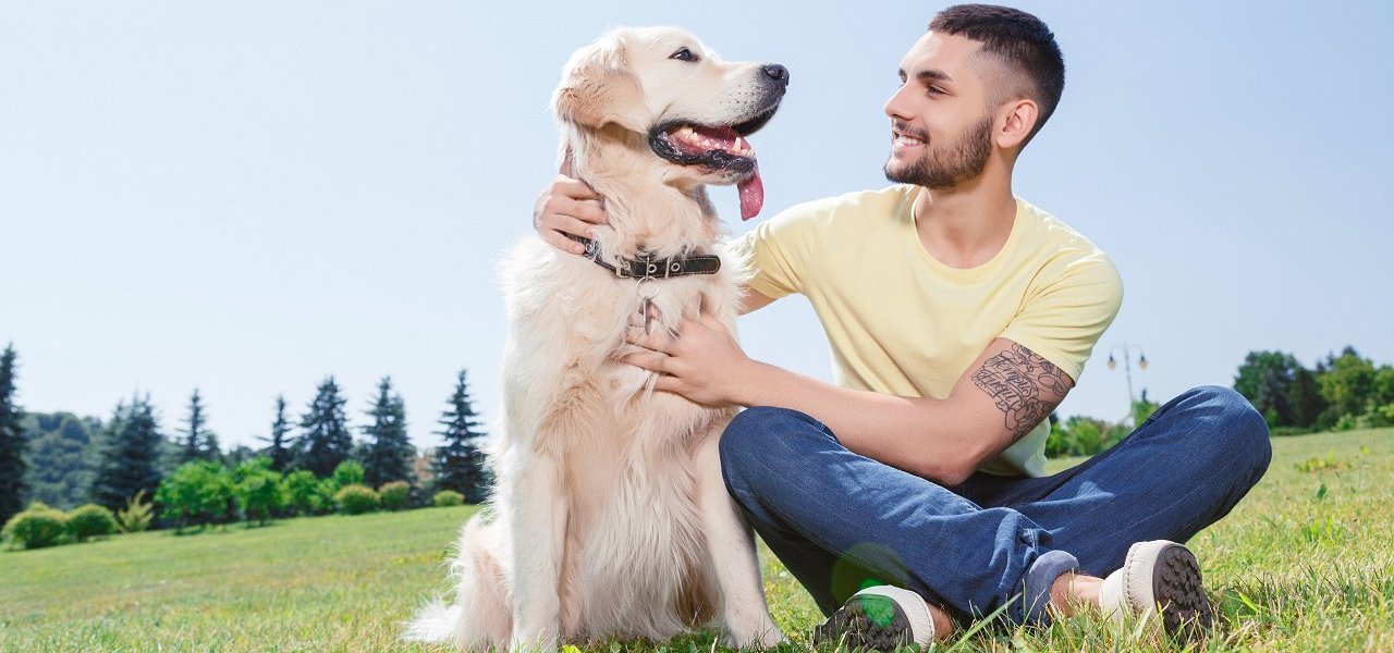 Wie wird man Hundetrainer