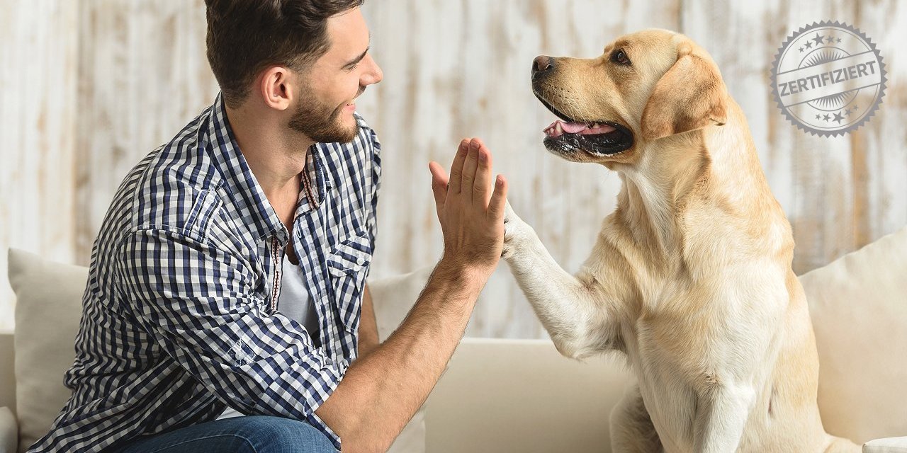 Hundetrainer Ausbildung SDTS