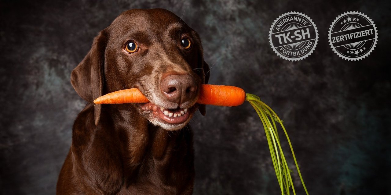 Ernährungsassistent Hund® - Fernlehrgang