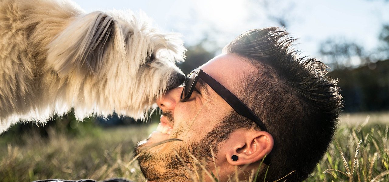 tierschutzgerechtes Hundetraining