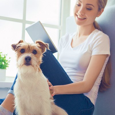 Hundewelten Berufsbildungsinstitut