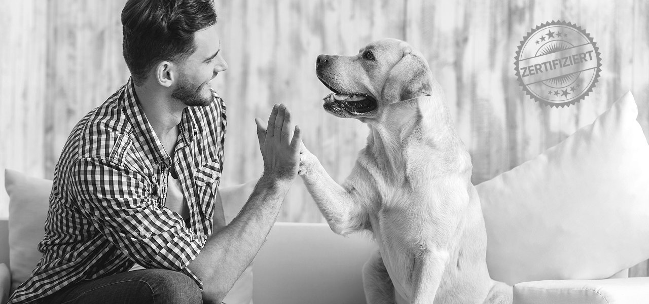 Anmeldung Hundetrainer Ausbildung SDTS®